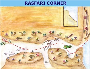 Rasfari